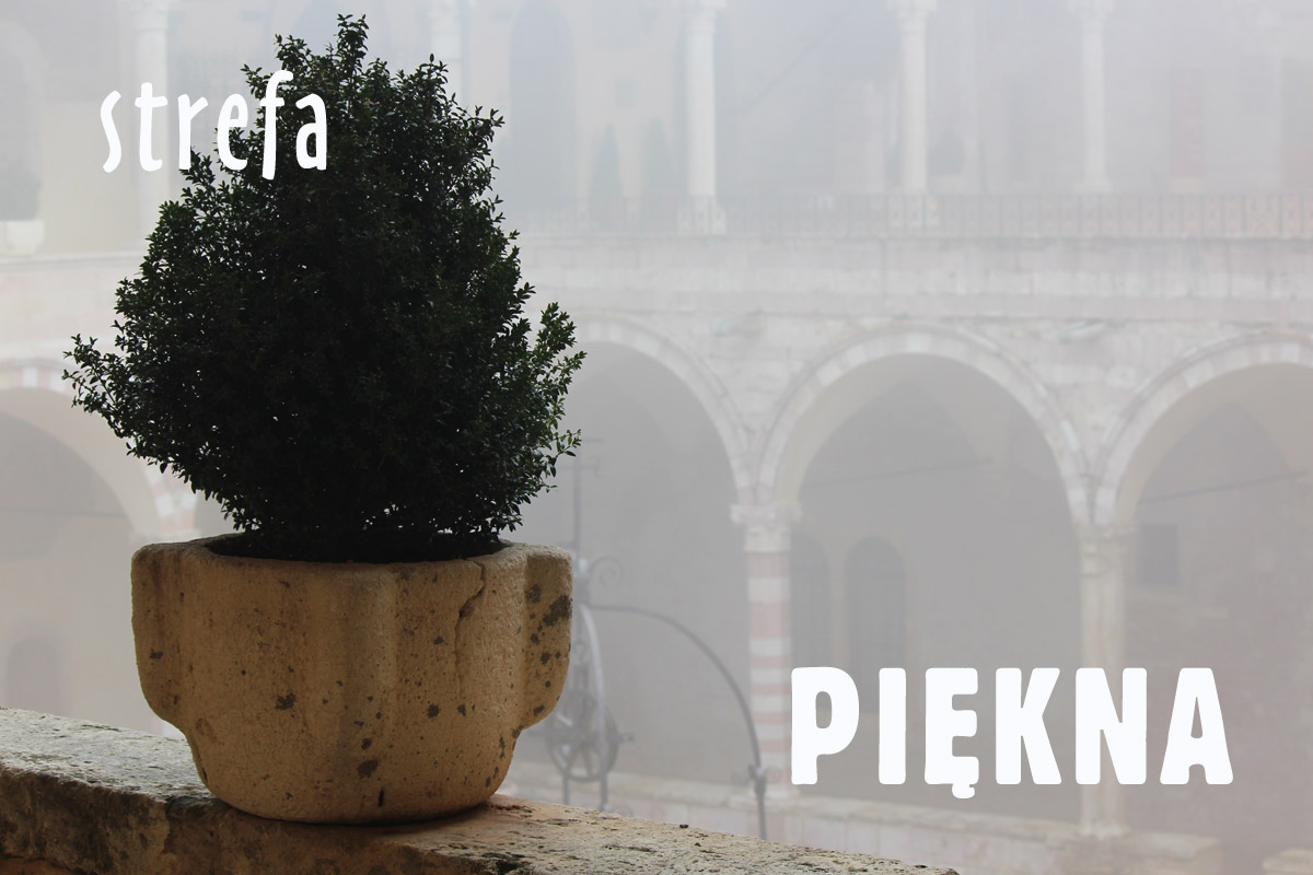 piękno